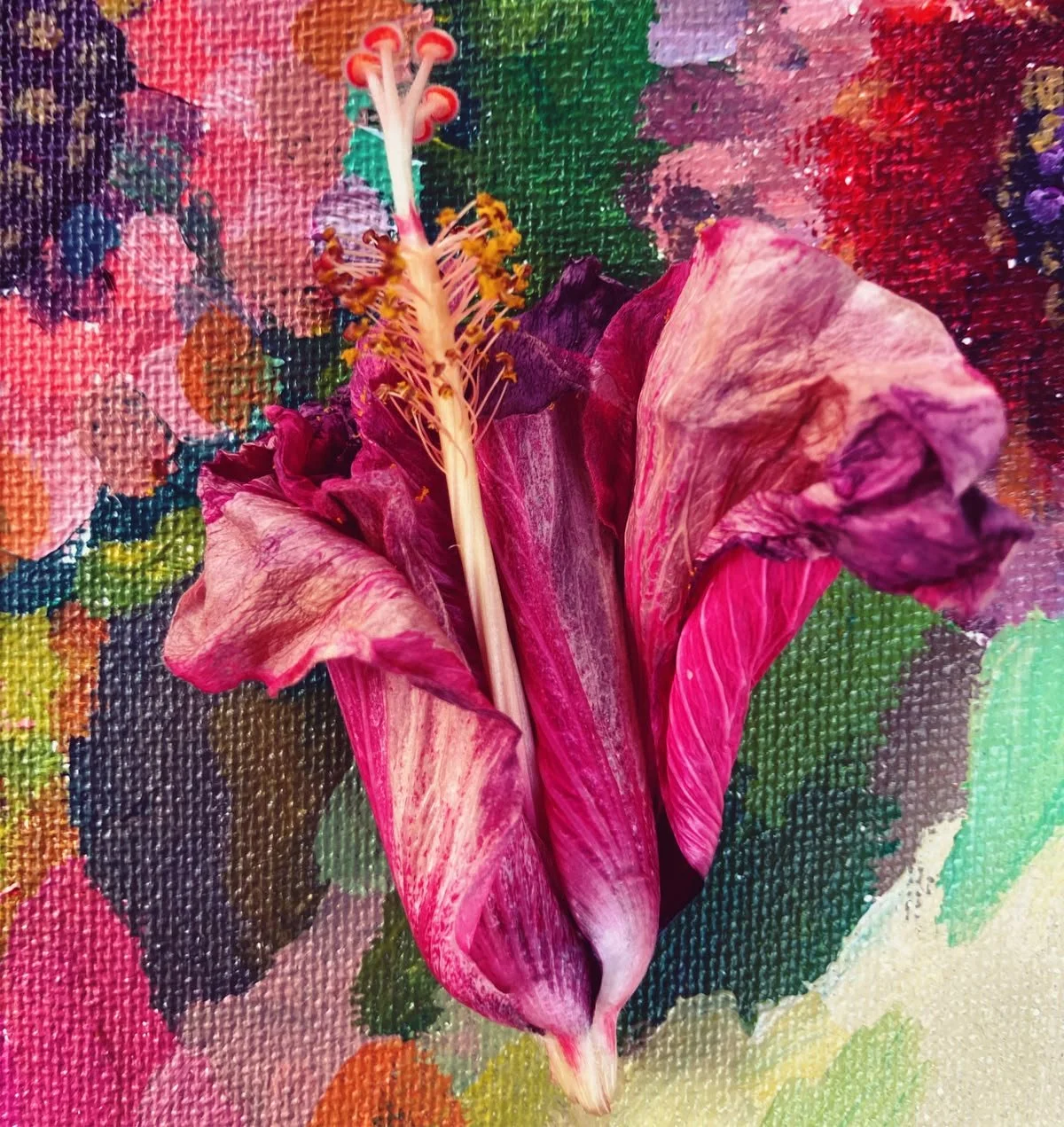 "Hibiscus Tea"- 2021
Acrylic & Dried Flower