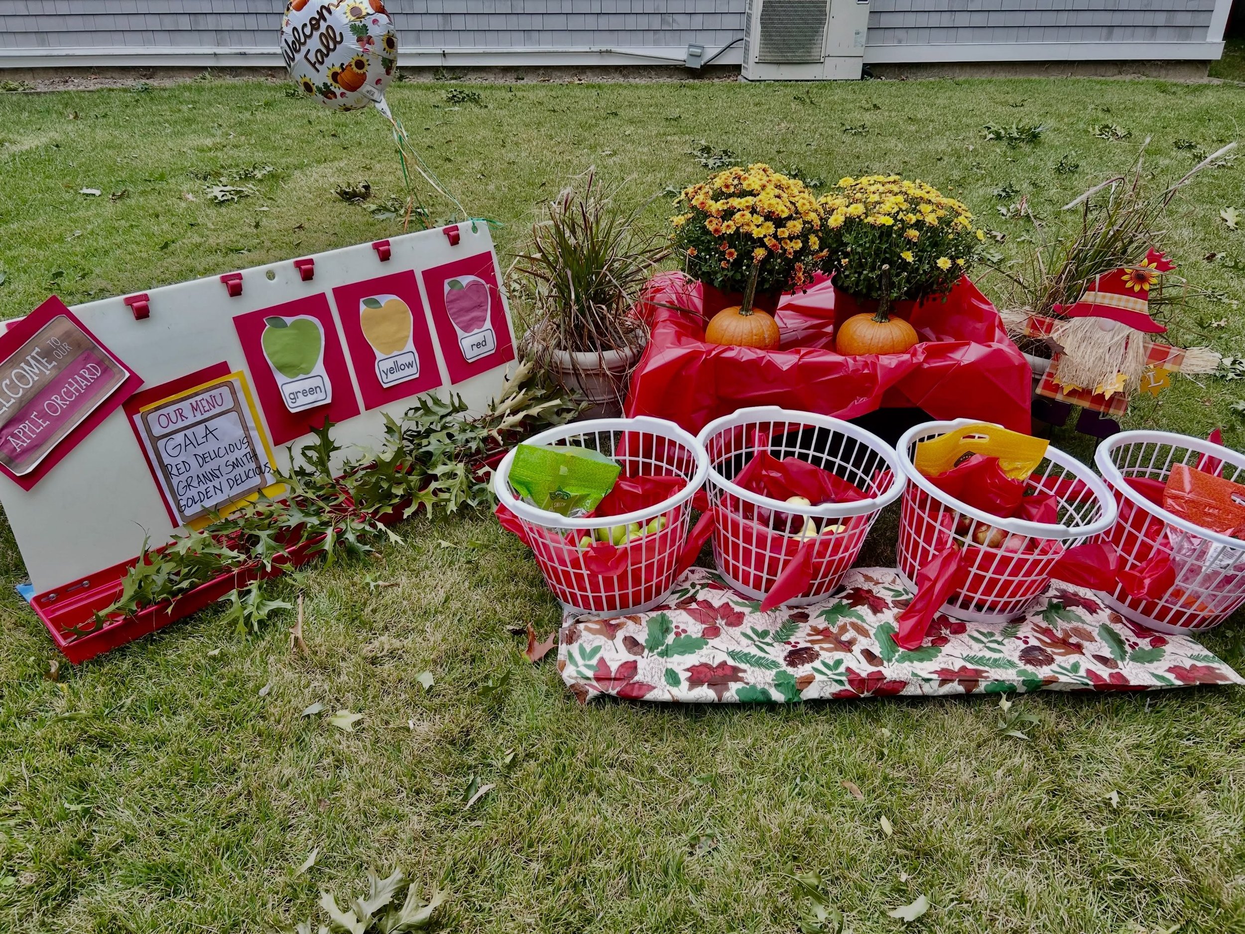 🍂 🍏 A is for Apple. 🍎 🍁 
&ldquo;Apple picking&rdquo; @ LS. ☺️