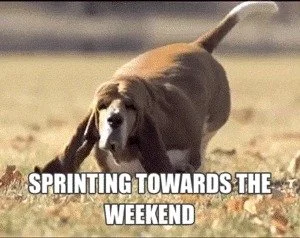 Before the weekend- be sure to take the time to see how the week went, and spend time reading and writing with your child.
