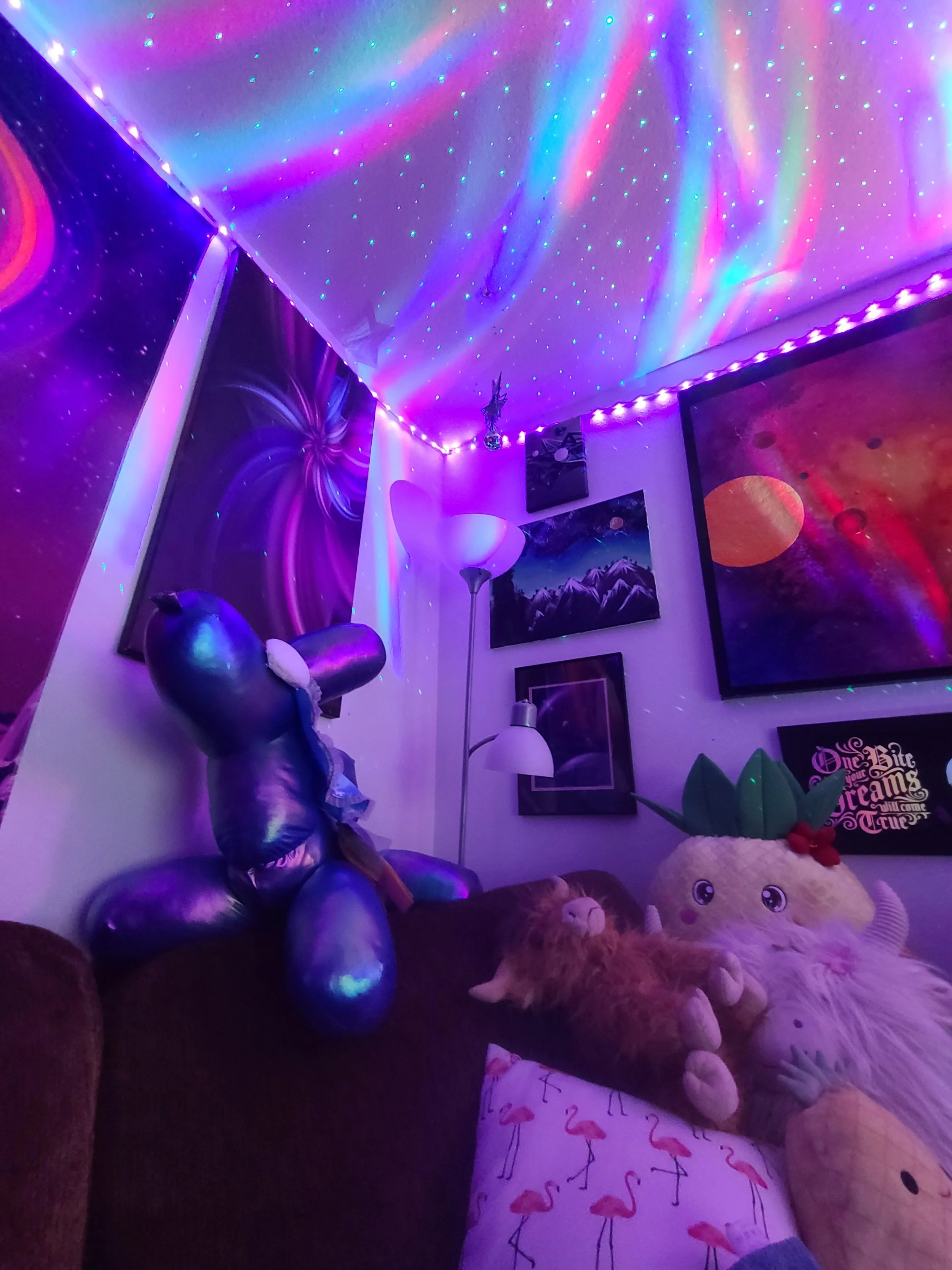 20260503_012952.jpg