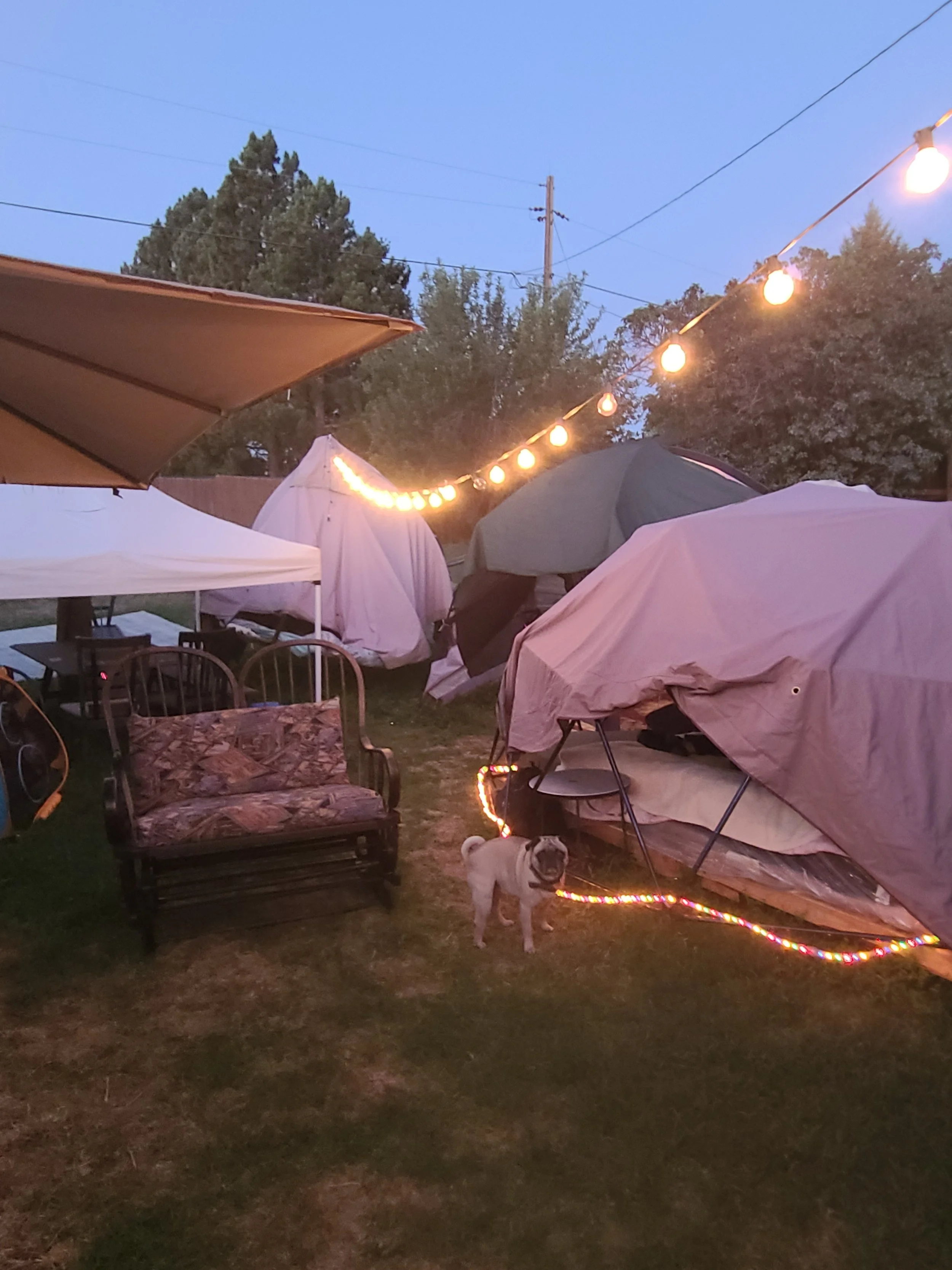 20260720_052632.jpg