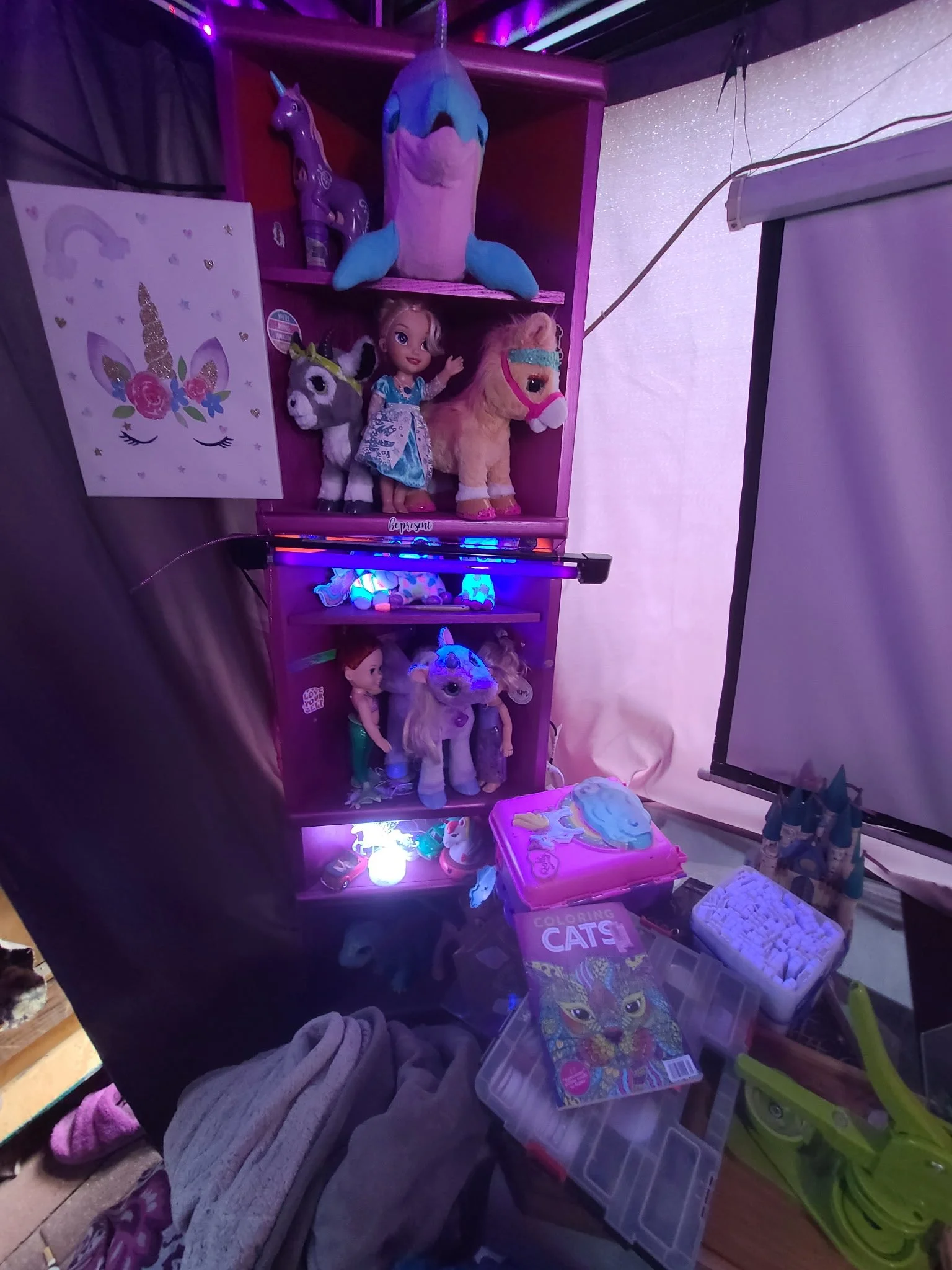 20260707_175900.JPG