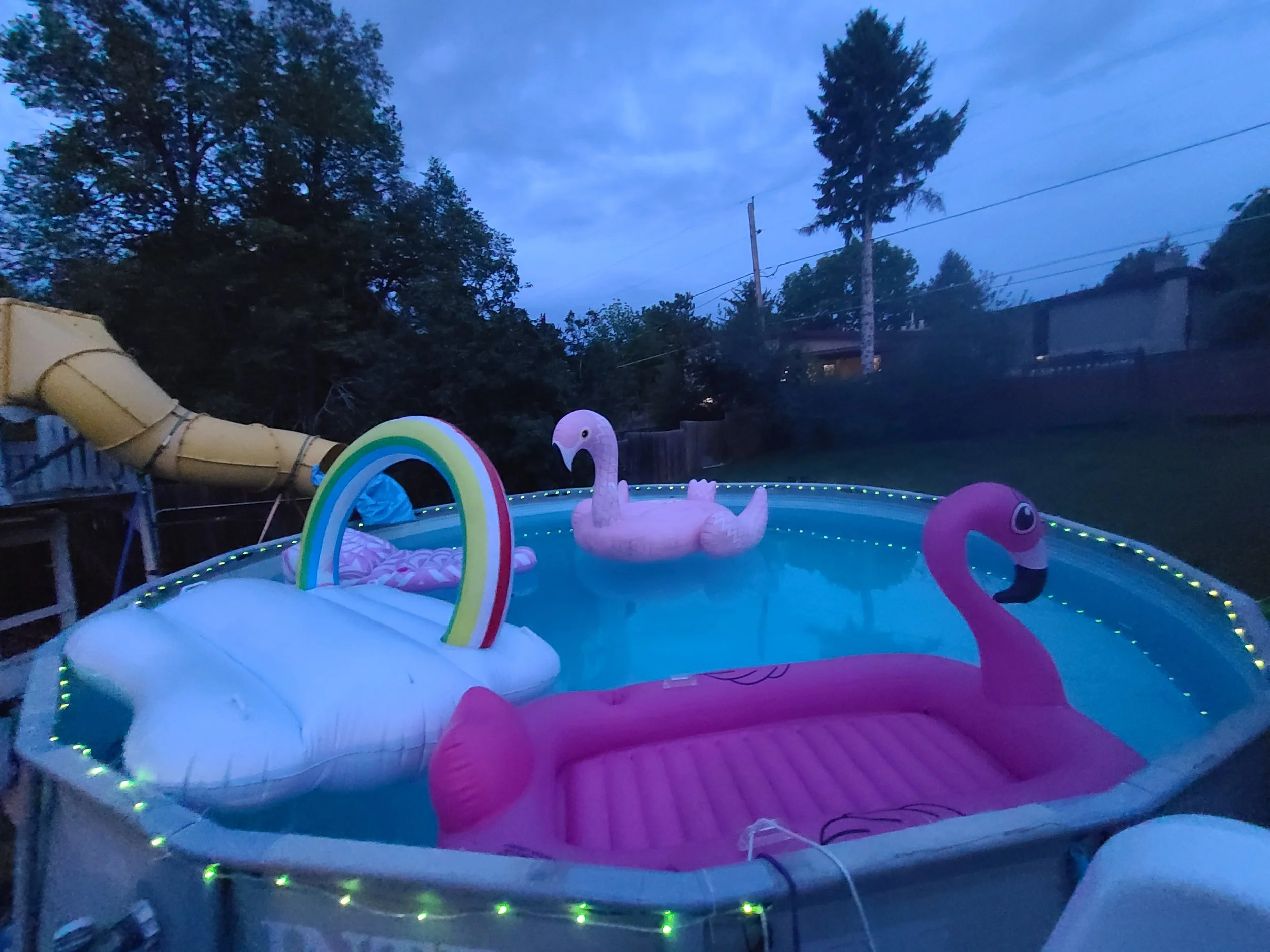 20260526_203654.jpg