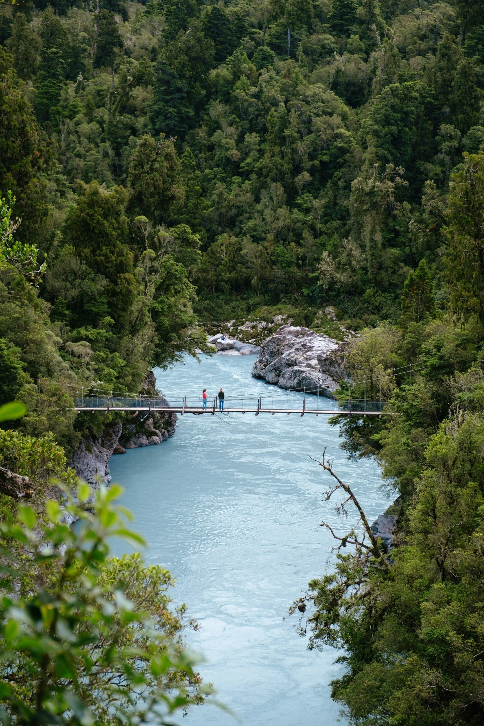 A river flowing through a dense green forest with two people standing on a suspension bridge over the water.