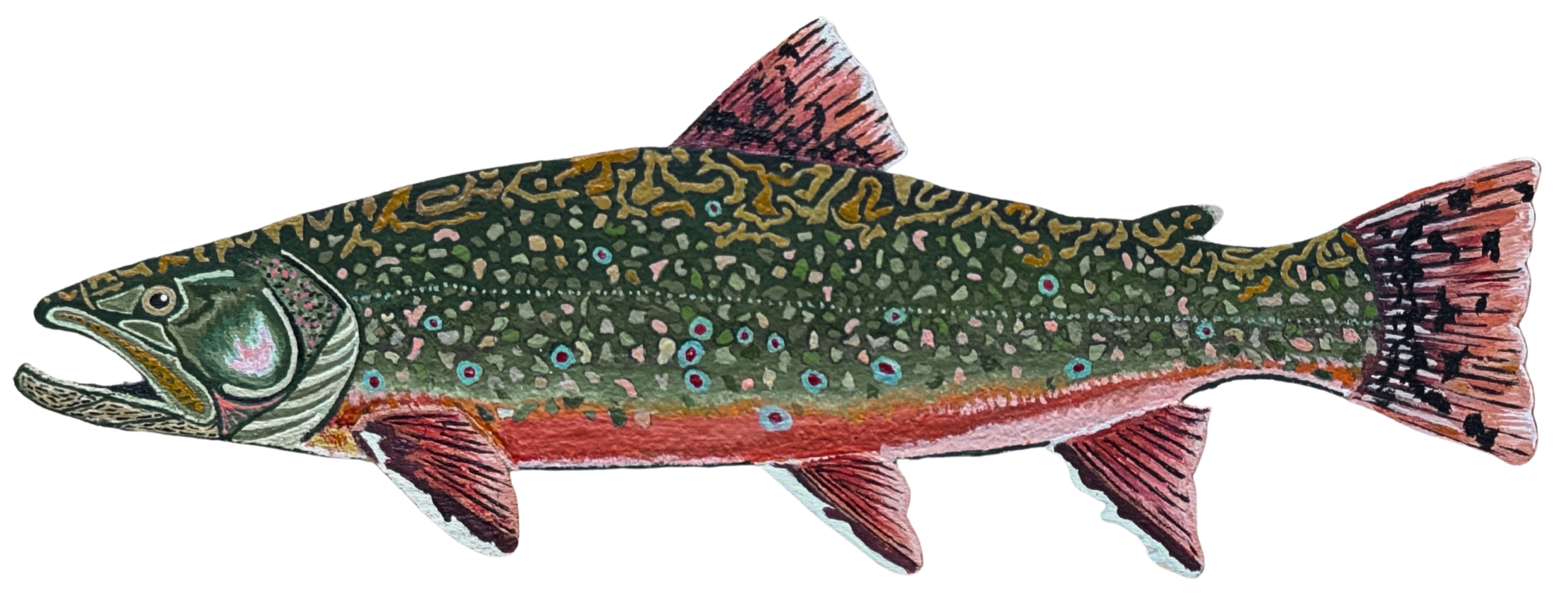 Brook Trout Paintings Artwork Wildlife Conservation