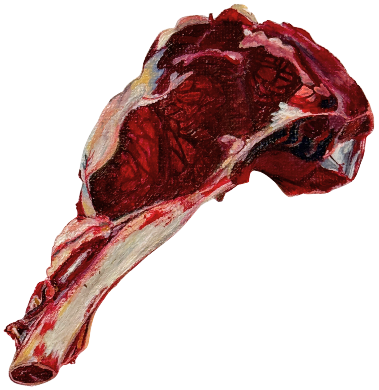 A painting of a raw beef steak cut with a bone, showing red muscle tissue and marbling.