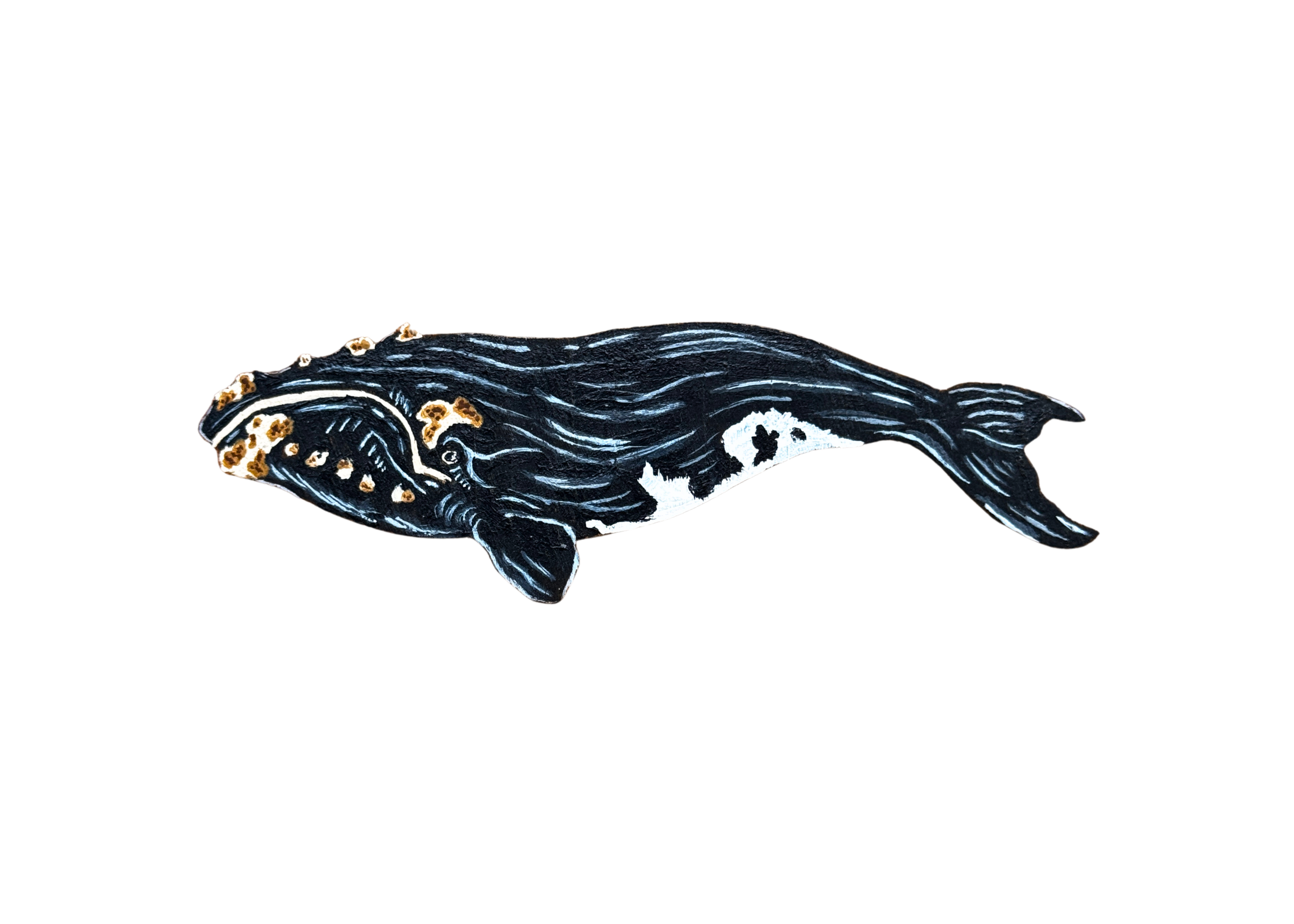 FIELD NOTES — Iceland Started Whaling Again. It's 2024. Here's What That Means.
