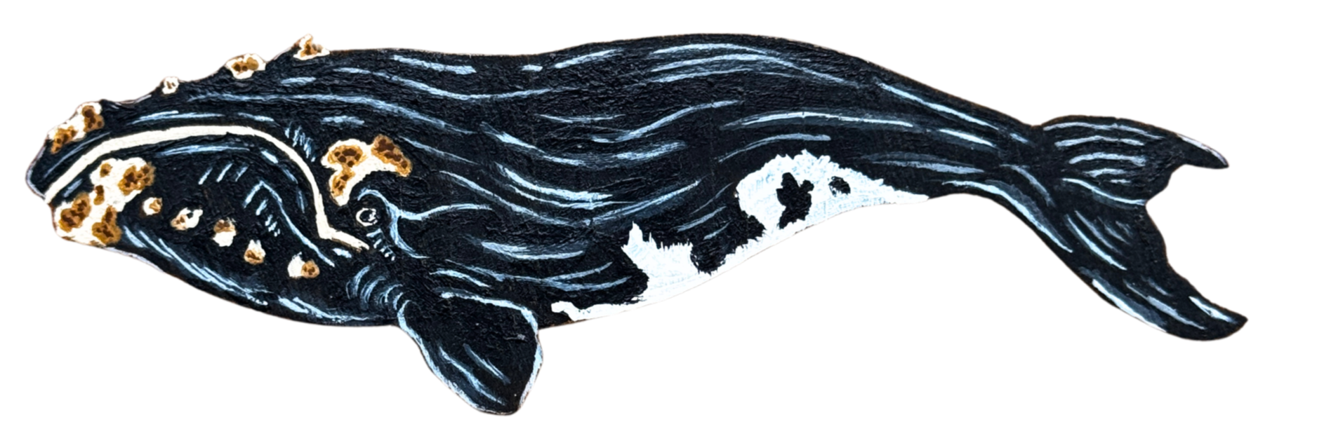 Northern Right Whale Painting Artwork Anti Whaling