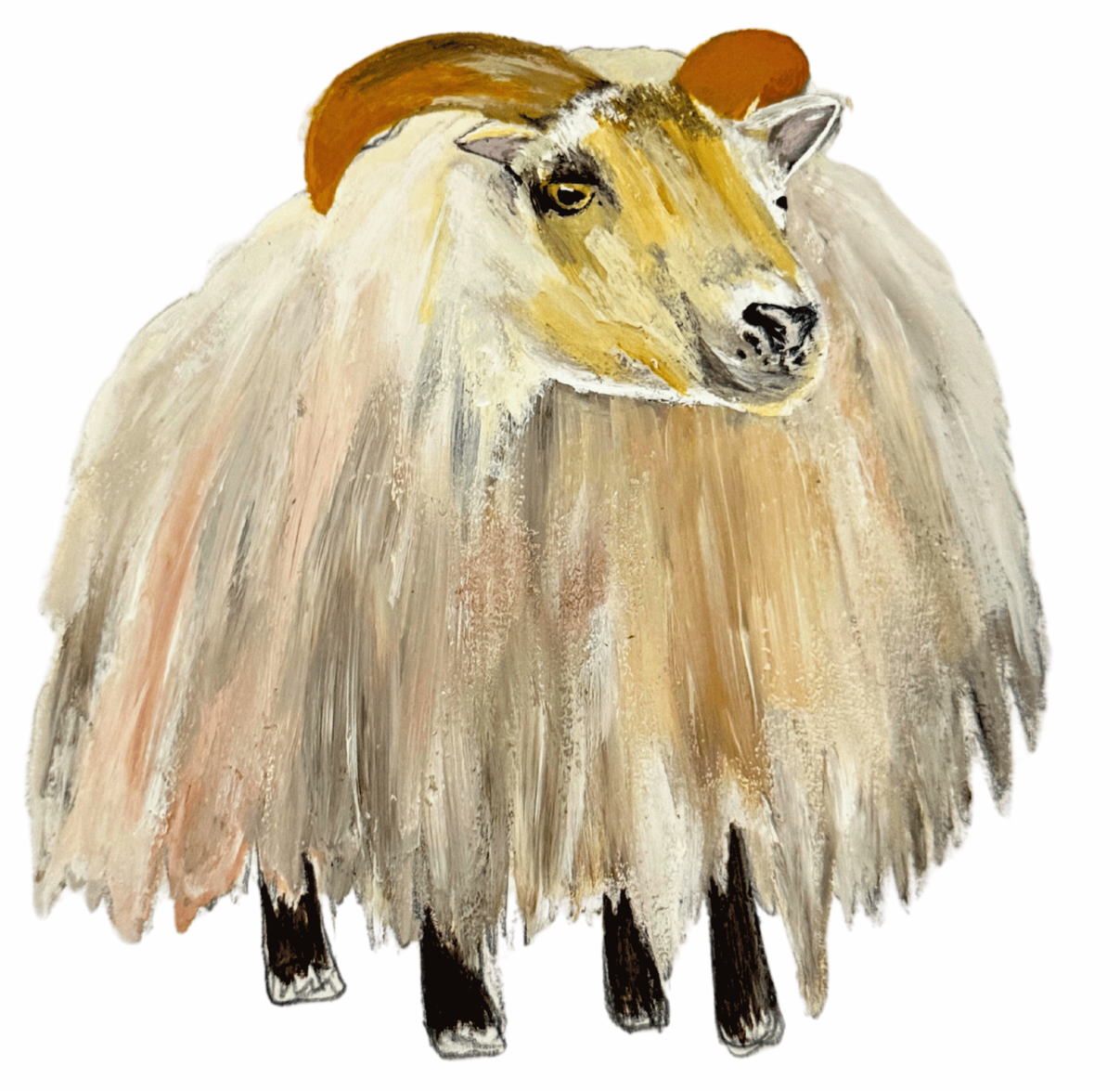 Icelandic Sheep Painting Artwork Iceland Wild
