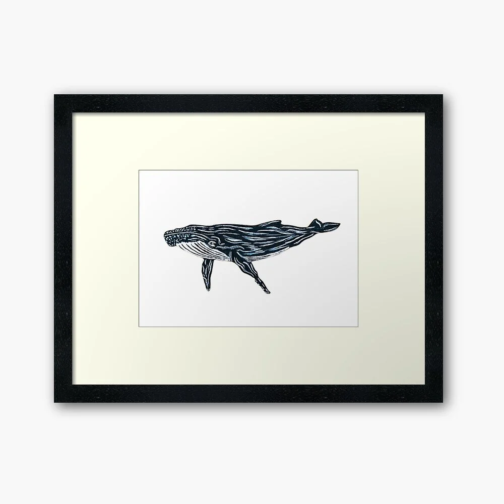 Humpback Whale | Framed/Unframed Print