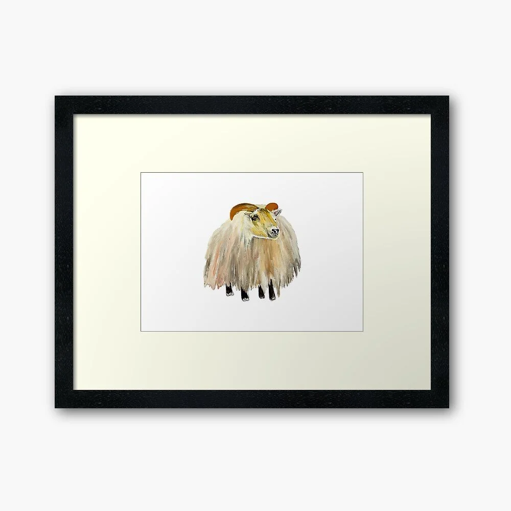 Icelandic Sheep | Framed/Unframed Print