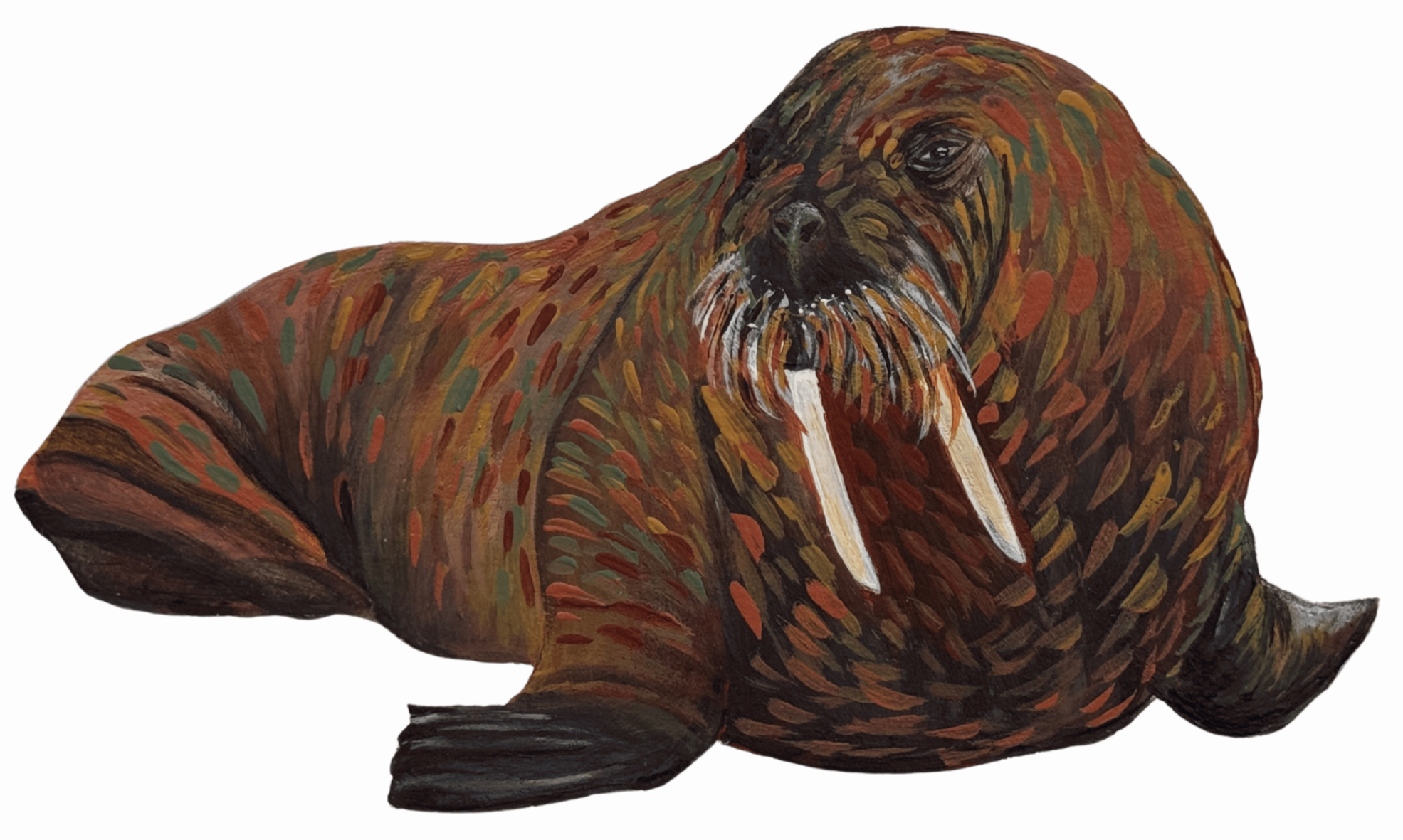 Walrus Painting Artwork Marine Mammal
