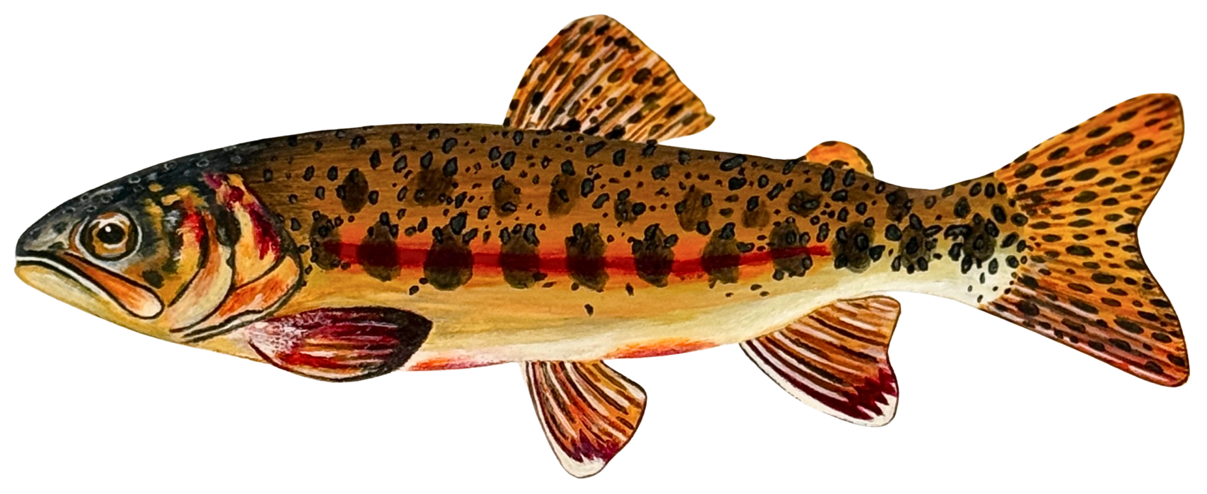 Golden Trout Painting Artwork Merchandise Fish Conservation