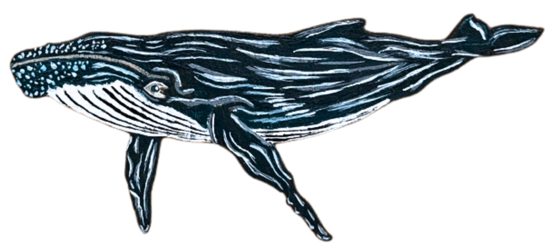 Humpback Whale Painting Artwork Merchandise Anti Whaling