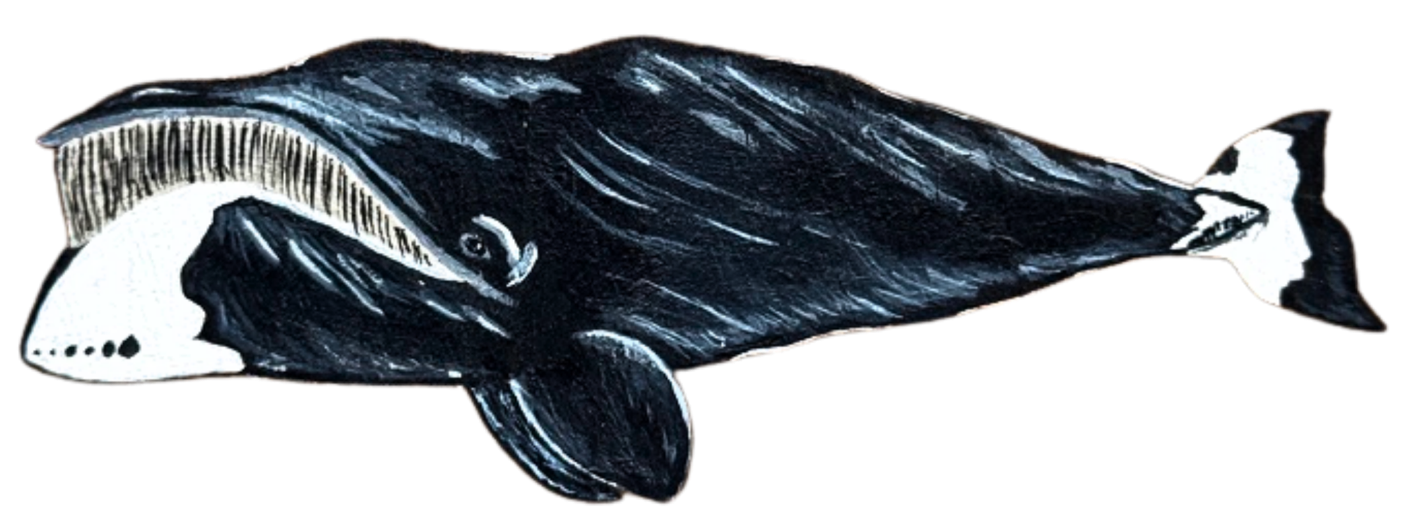Bowhead Whale Painting Artwork Anti Whaling