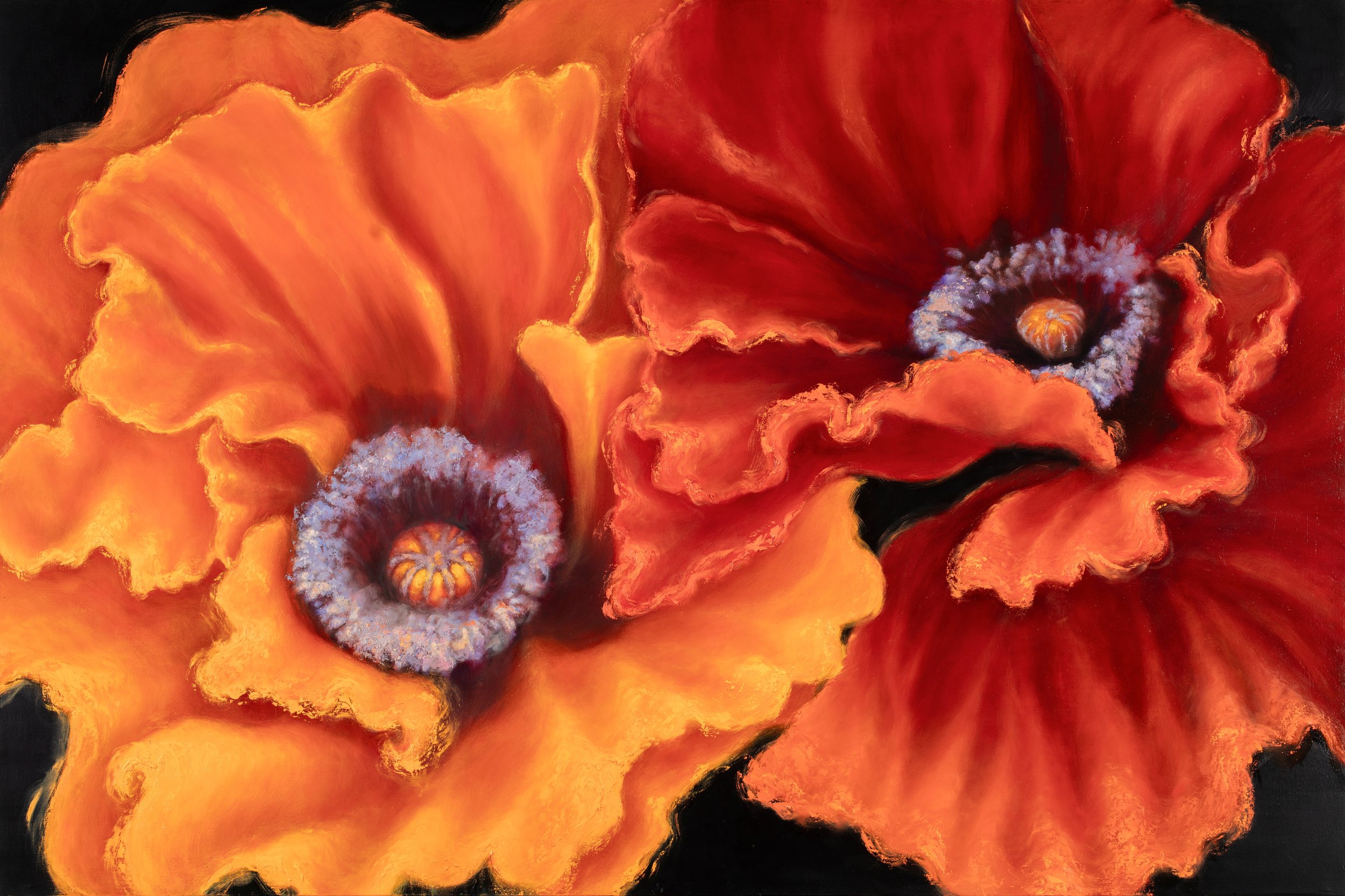 Tandem Poppies