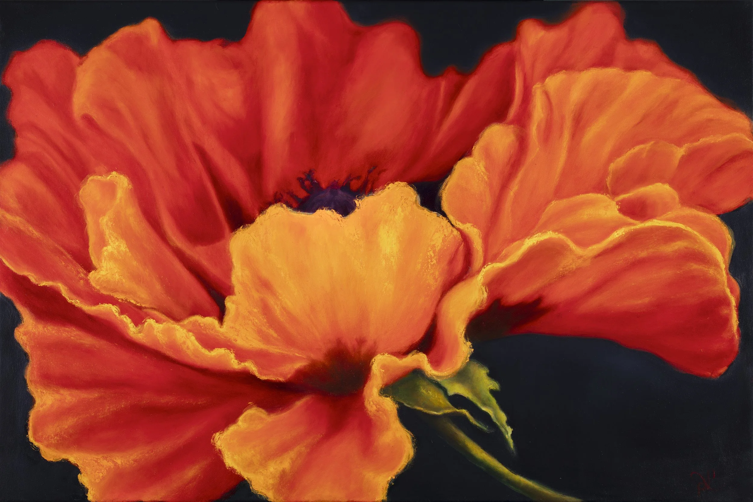 Orange Glory