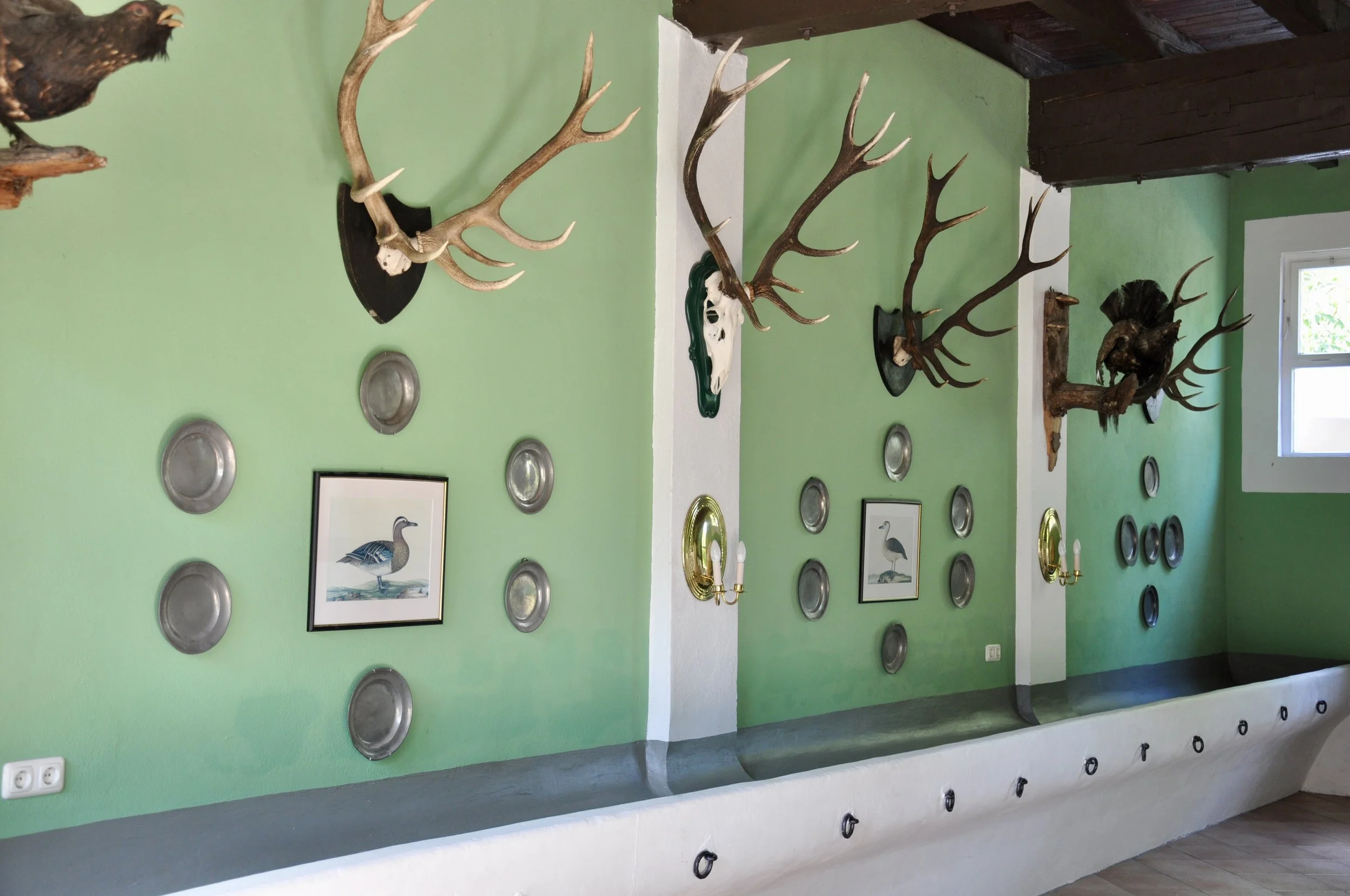 Eine Wand mit ausgestopften Hirschgeweihen, Tierköpfen, Vogelbildern und silbernen Platten. Es gibt auch Wandlampen und Steckdosen an der Wand.