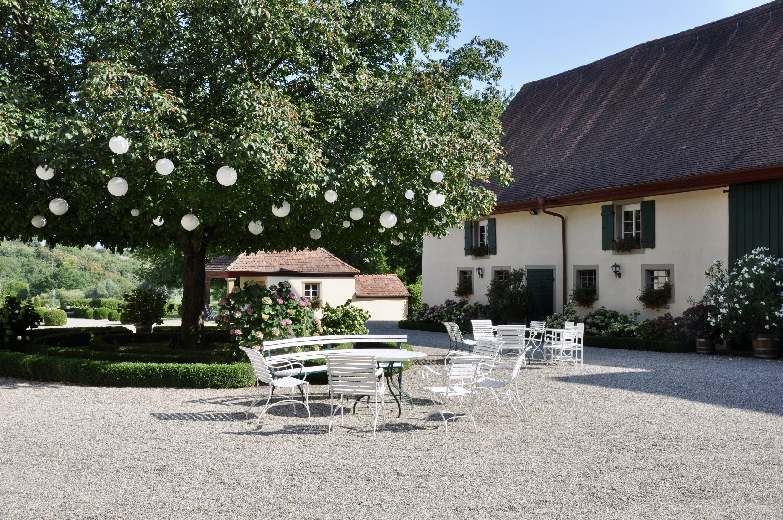 Ein gepflegter Garten mit weißen Gartenmöbeln, einer großen Baum mit Laternen und einem Haus mit grünen Fensterläden im Hintergrund bei strahlendem Sonnenschein.