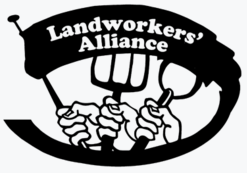 Landworkers' Alliance members begin meeting and organising as Hate Out of Farming (HOOF)