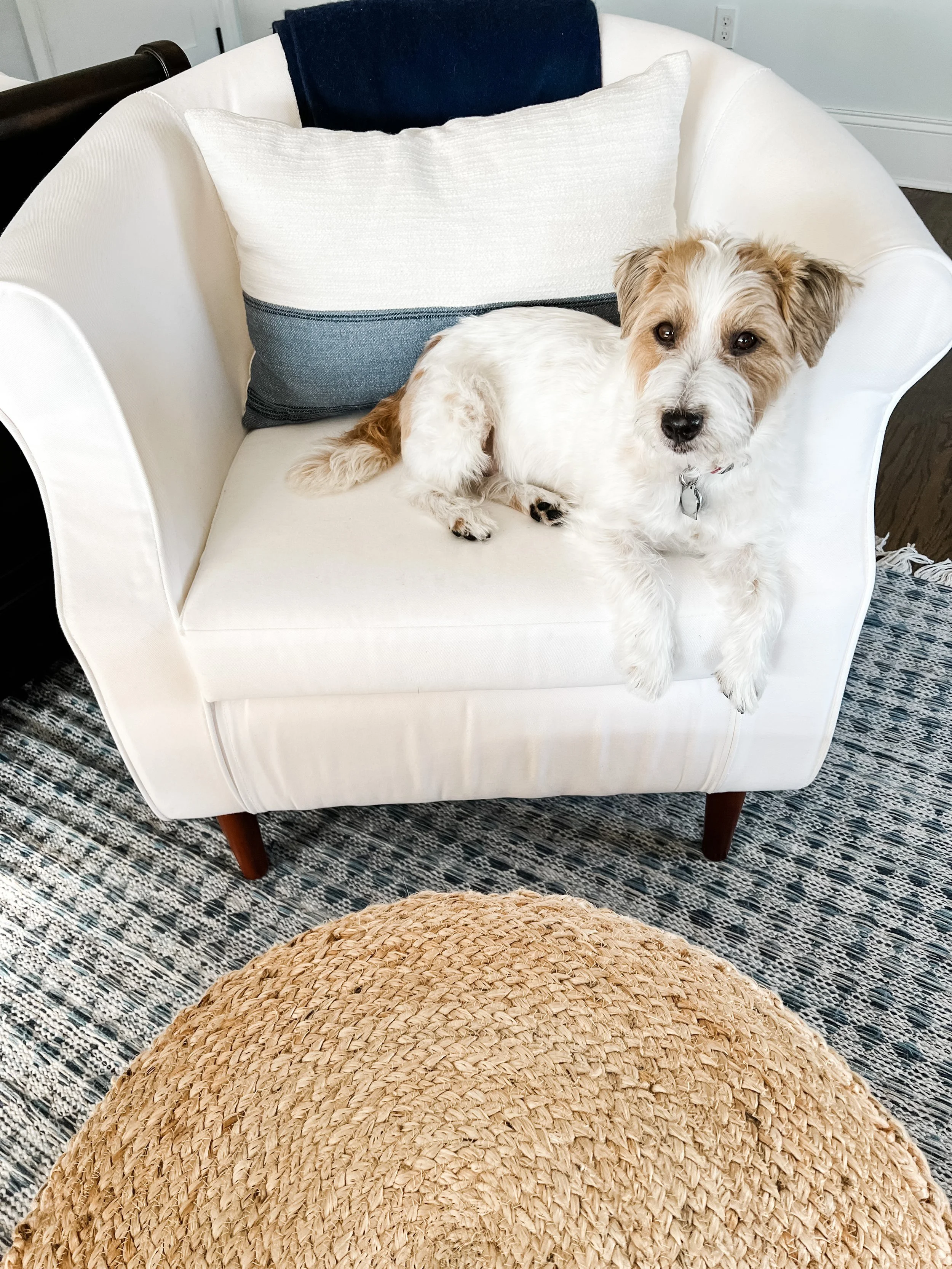 A small dog with white and light brown fur lying on a white armchair with a large white pillow and a blue and gray striped pillow behind it, in a room with a patterned rug and a woven pouf in the foreground.