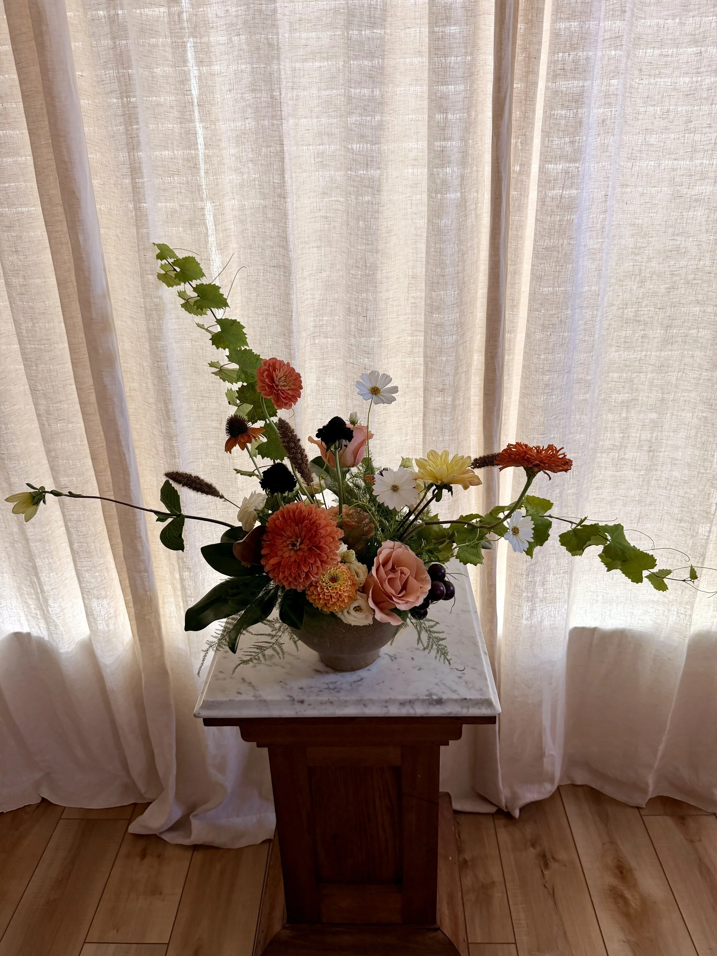 IMG_7220.jpg