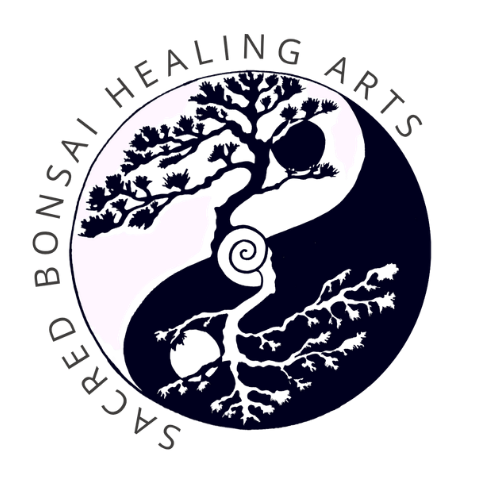 Logo featuring a yin-yang symbol with a tree, dragon, and spiral design, and the text 'Sacred Bonsai Healing Arts' surrounding it.