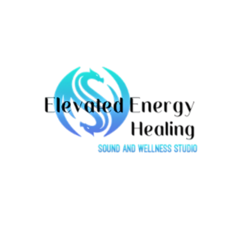 Logo with a blue flame surrounding a dollar sign, with the text 'Embedded Money' and a subtitle 'South America'.