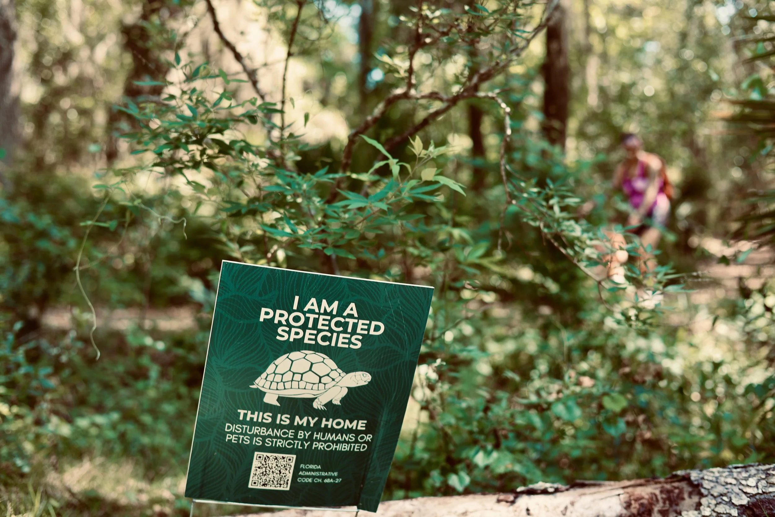 A sign in a forested area reading "I am a protected species. This is my home. Disturbance by humans or pets is strictly prohibited." with a turtle illustration and a QR code. In the background, a person in a purple top and backpack is walking through