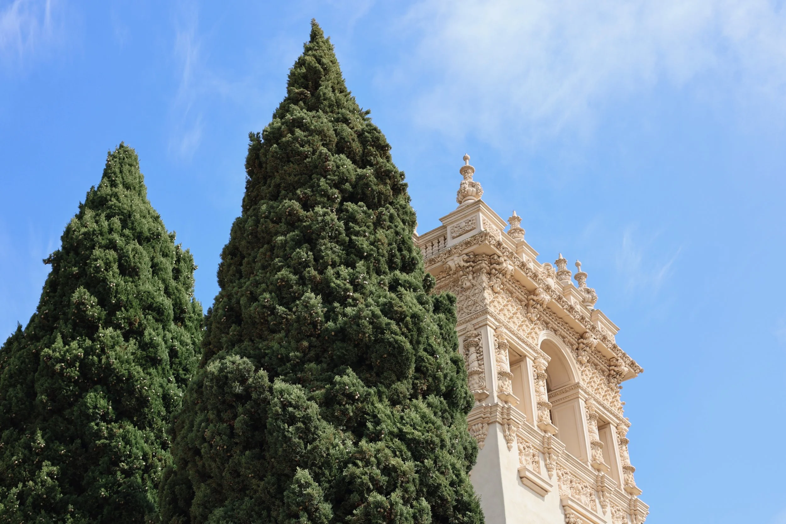 Tall cypress trees in front of an ornate, historic building with decorative architecture and a blue sky background.