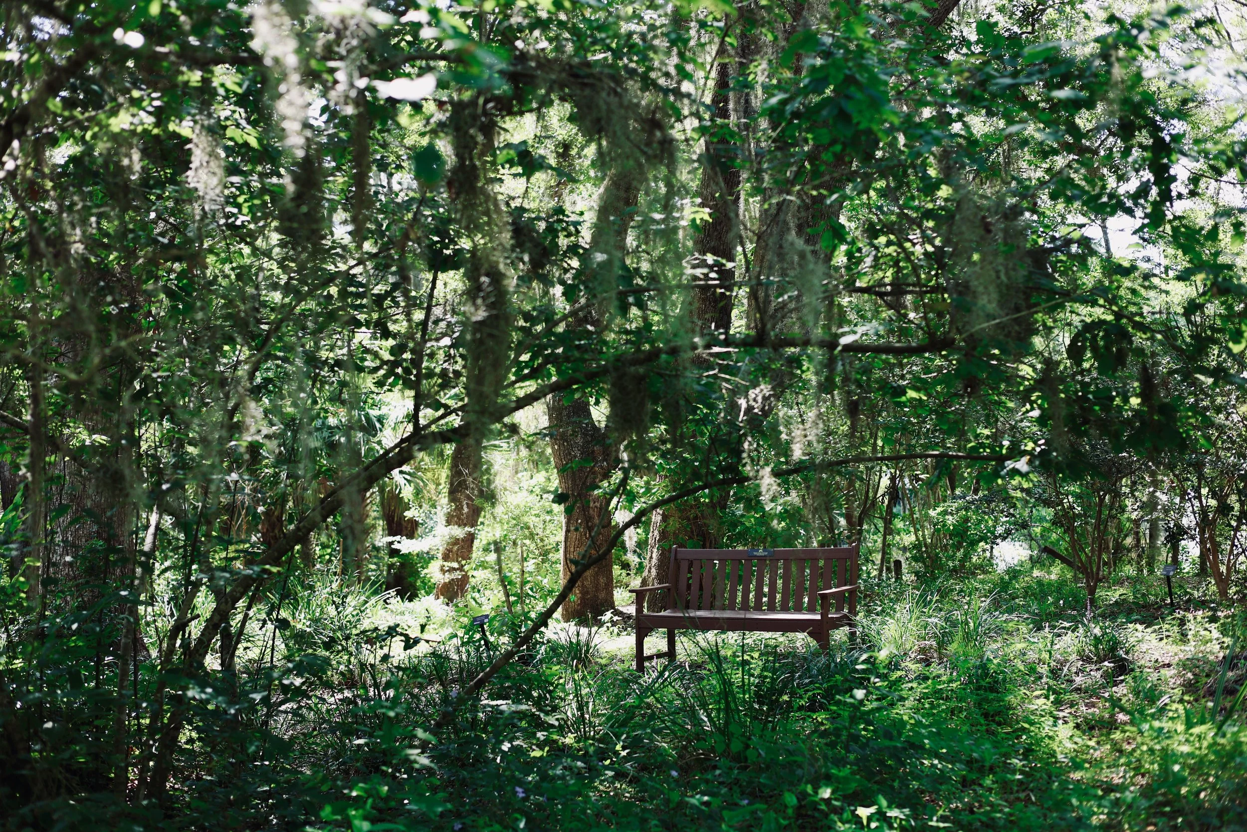A garden with lush green trees and plants, a wooden bench in the center, and sunlight filtering through the foliage.