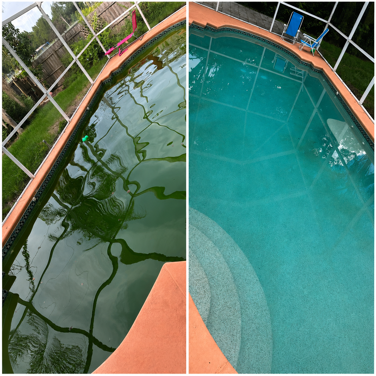 Comparison of two swimming pools, one filled with greenish water with algae and debris, and the other clean and blue, both enclosed by a screened patio with outdoor chairs nearby.