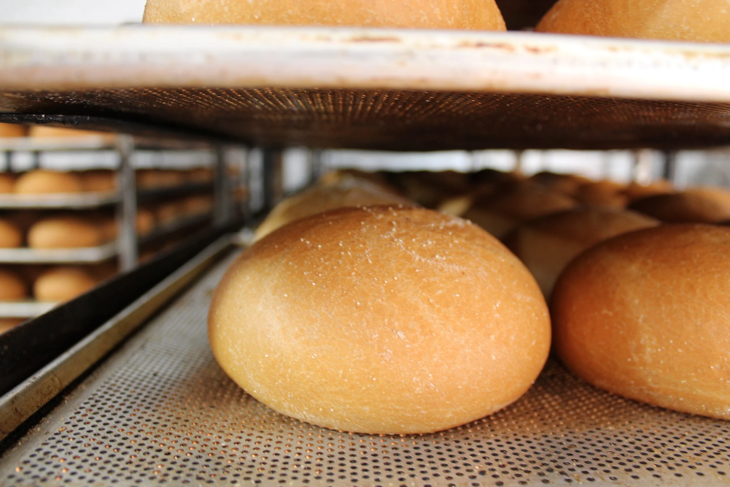 Fresh baked bread rolls on a cooling rack in a bakery.