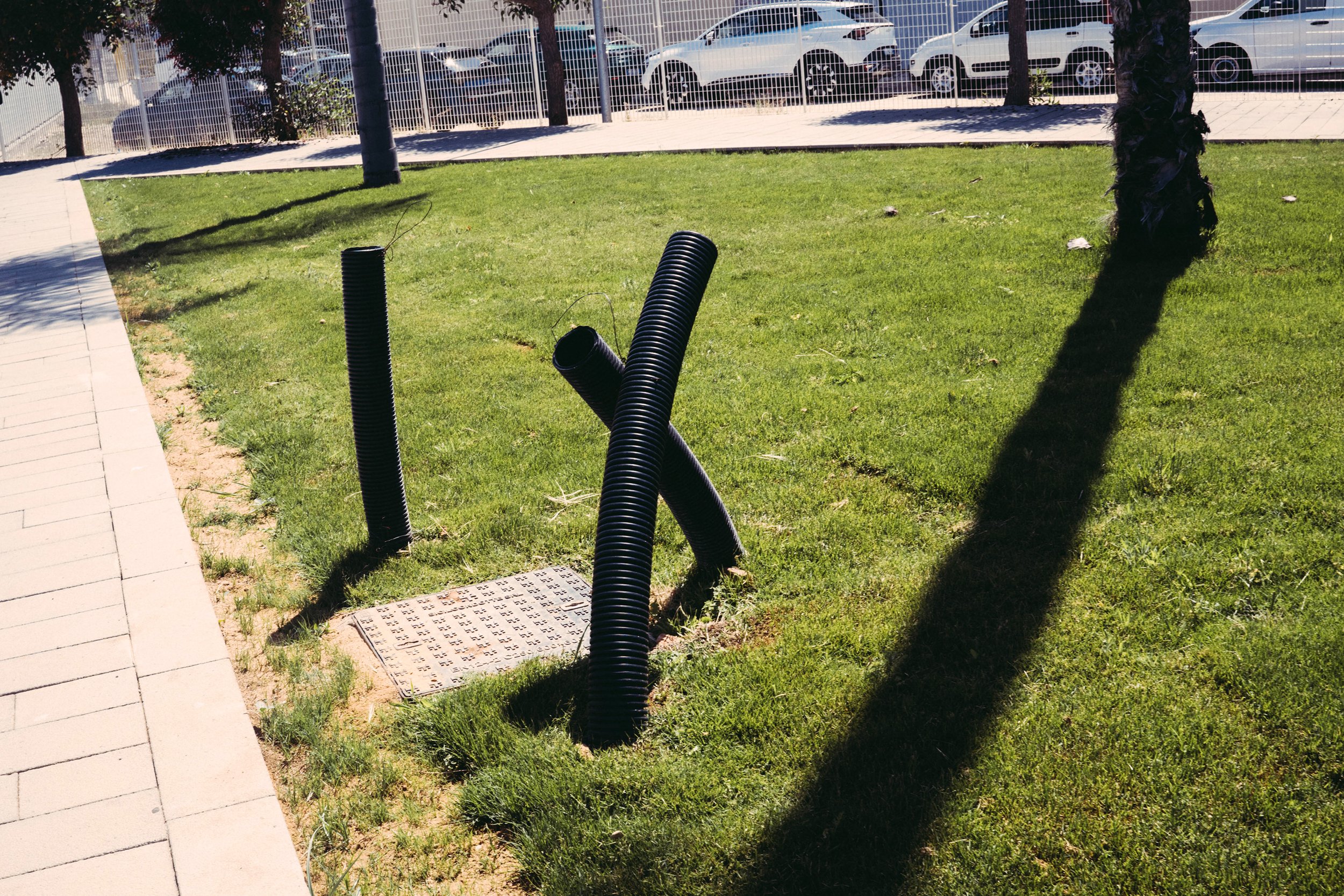Árbol en un parque con tubo corrugado y sombra proyectada sobre la hierba, cerca de una acera y una cerca blanca con autos estacionados al fondo.