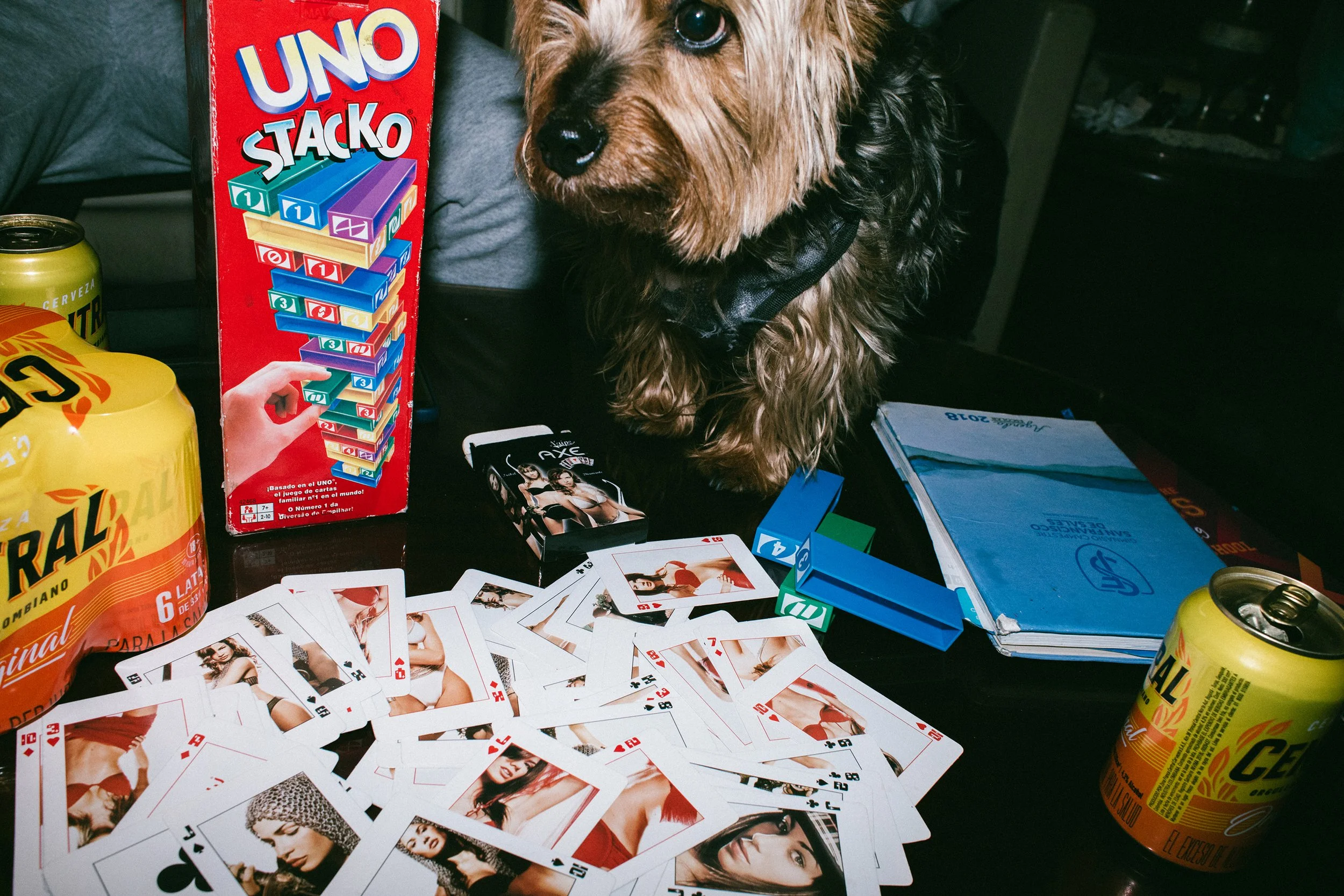 Una mesa con cartas de la baraja española con imágenes de mujeres en ropa interior, varias latas de cerveza, una caja de juego de mesa 'UNO STACKO', un teléfono móvil y libretas. Además, en el centro hay una adorable perro de pelaje marrón y negro, c