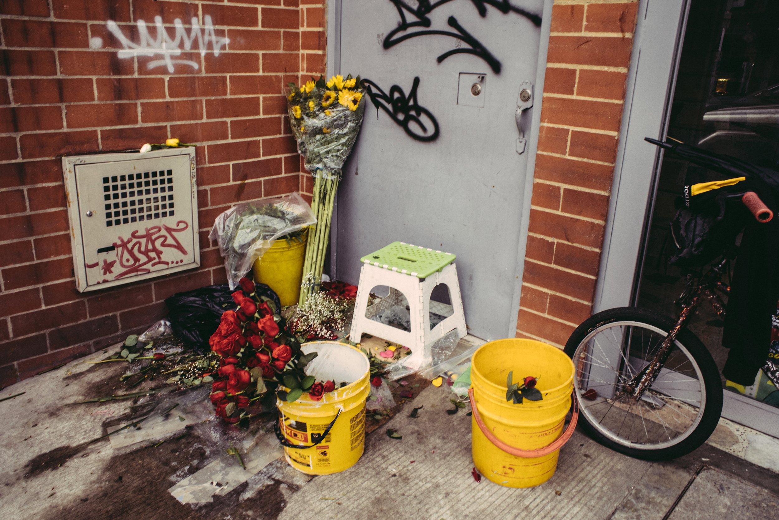 Flores de rosas y otros arreglos florales en baldes amarillos, con basura y grafiti en la pared de fondo.