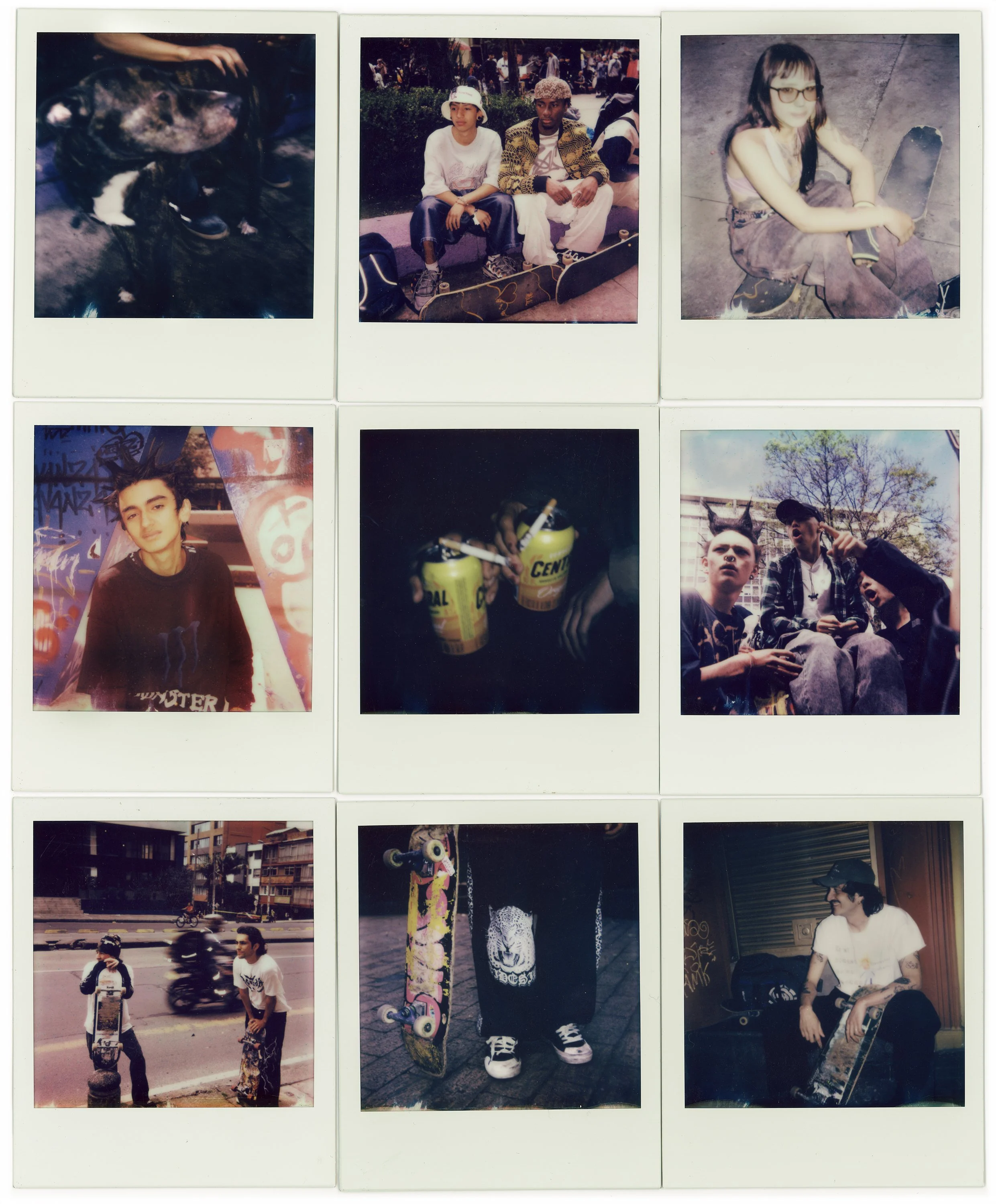 Colección de seis fotos tipo Polaroid. La primera muestra un perro con una mano sobre su cabeza. La segunda una mujer y un hombre con patineta en un parque. La tercera una mujer joven con gafas y patineta, sentada en el suelo. La cuarta una joven con