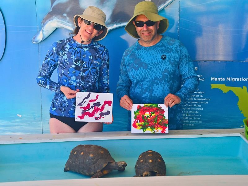 Tortoise Time (2).jpg