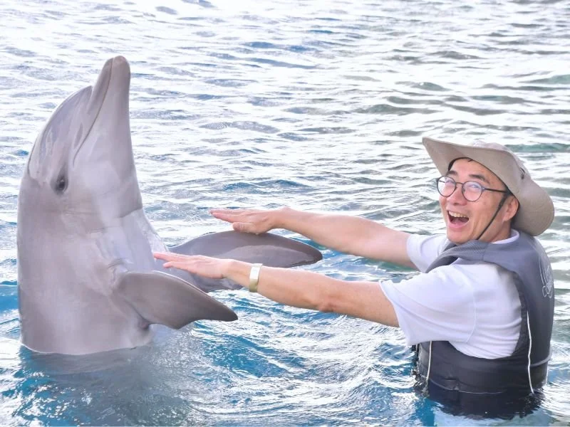 Dolphin Encounter (2).jpg