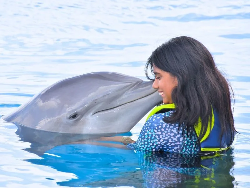 Dolphin Encounter (6).jpg