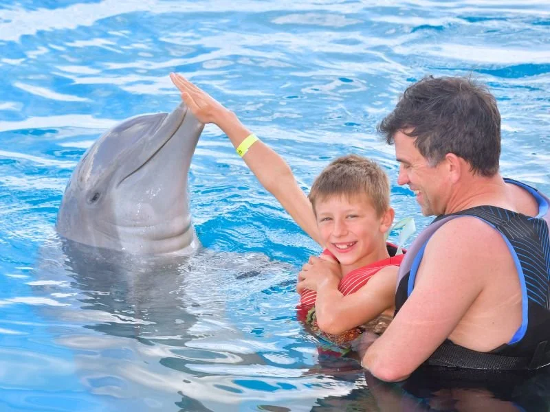 Dolphin Encounter (4).jpg