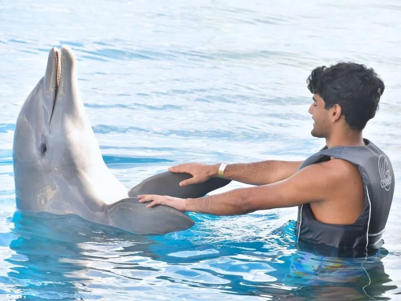 Dolphin Encounter (5).jpg