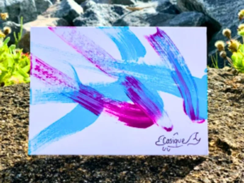 Dolphin Design (2).jpg