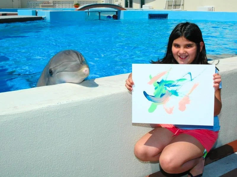Dolphin Design (3).jpg