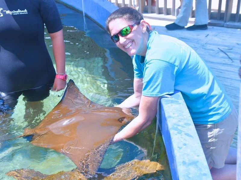 Stingray Splash (2).jpg