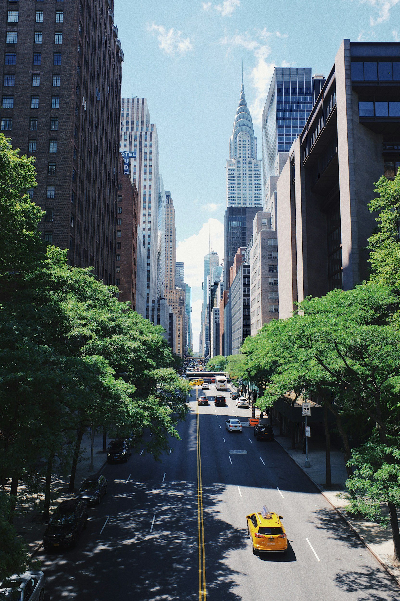 A city street view with tall skyscrapers on both sides, green trees lining the sidewalk, and cars driving on the road under a partly cloudy blue sky.