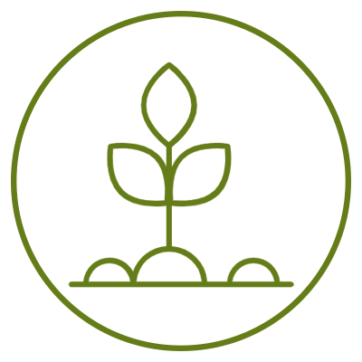 Outline of a sprout with two leaves inside a circle representing growth and nature.