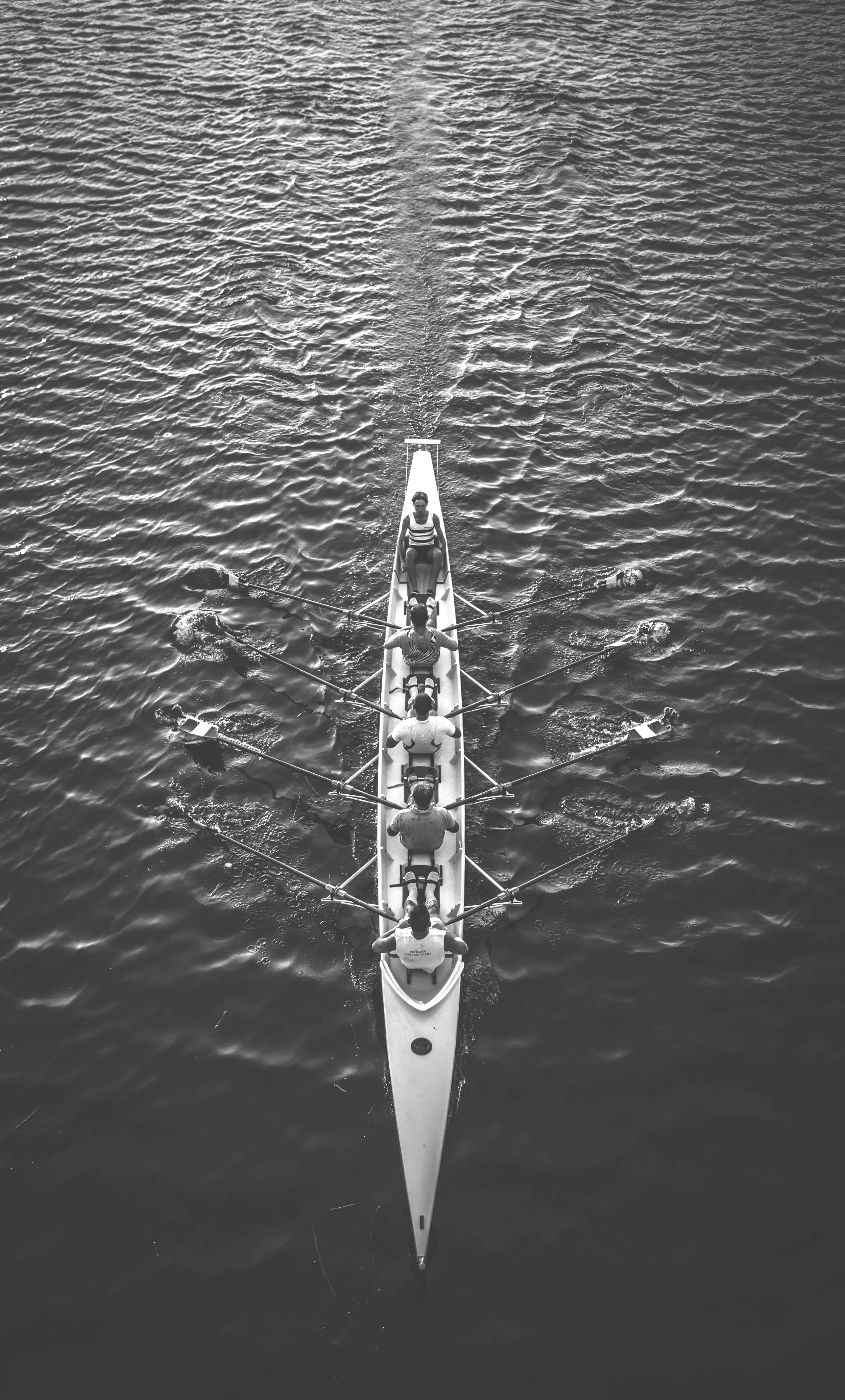 Executive Support Services & Office Coordination