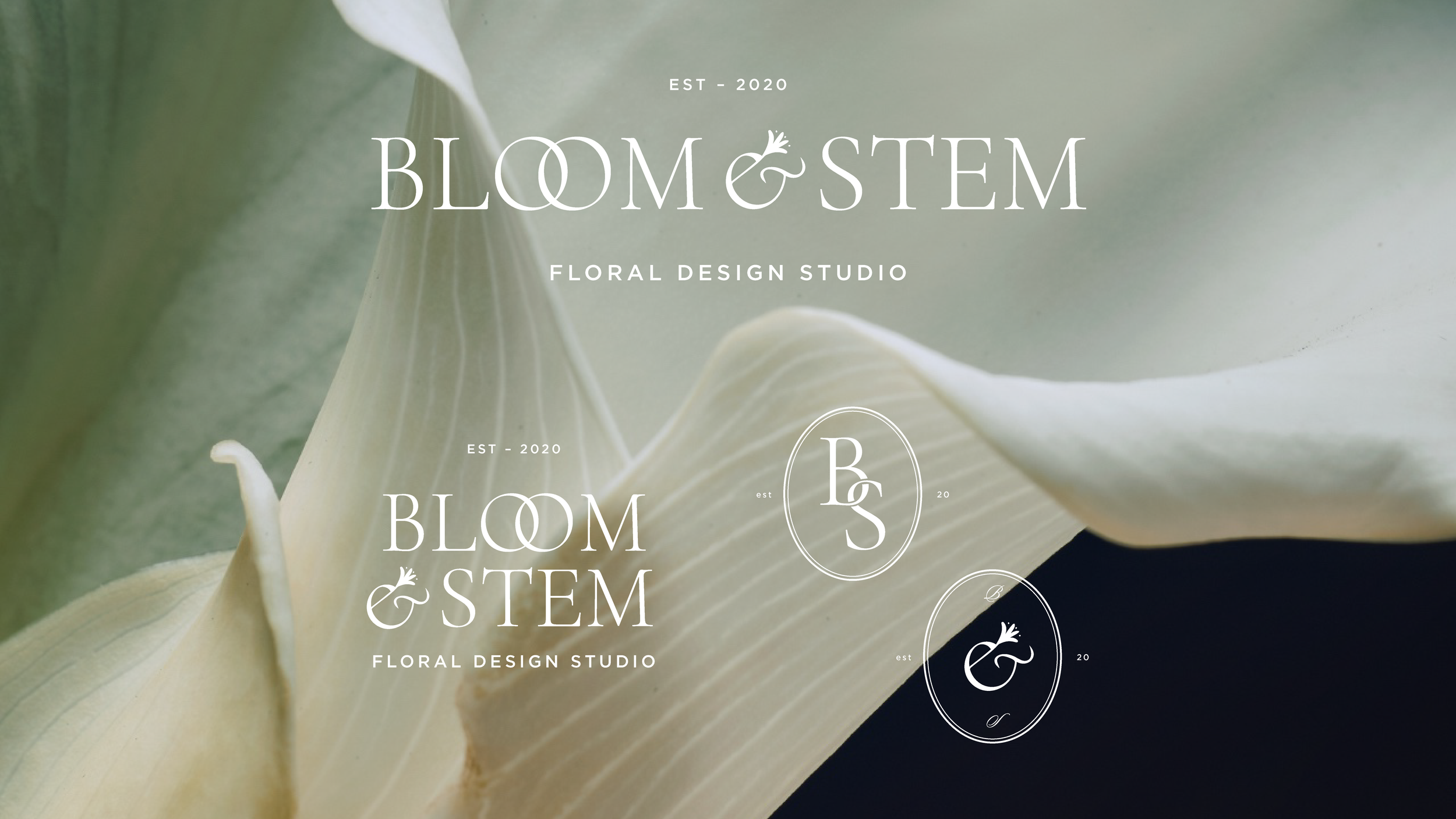 BloomStem-BrandCover.png