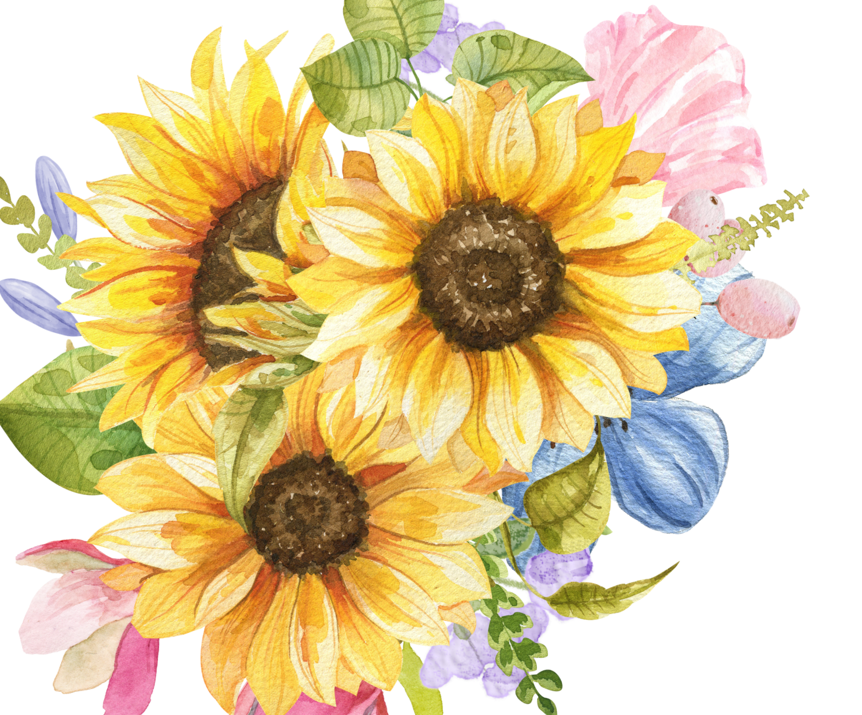 Sunflower Squarespace 7.1 Template